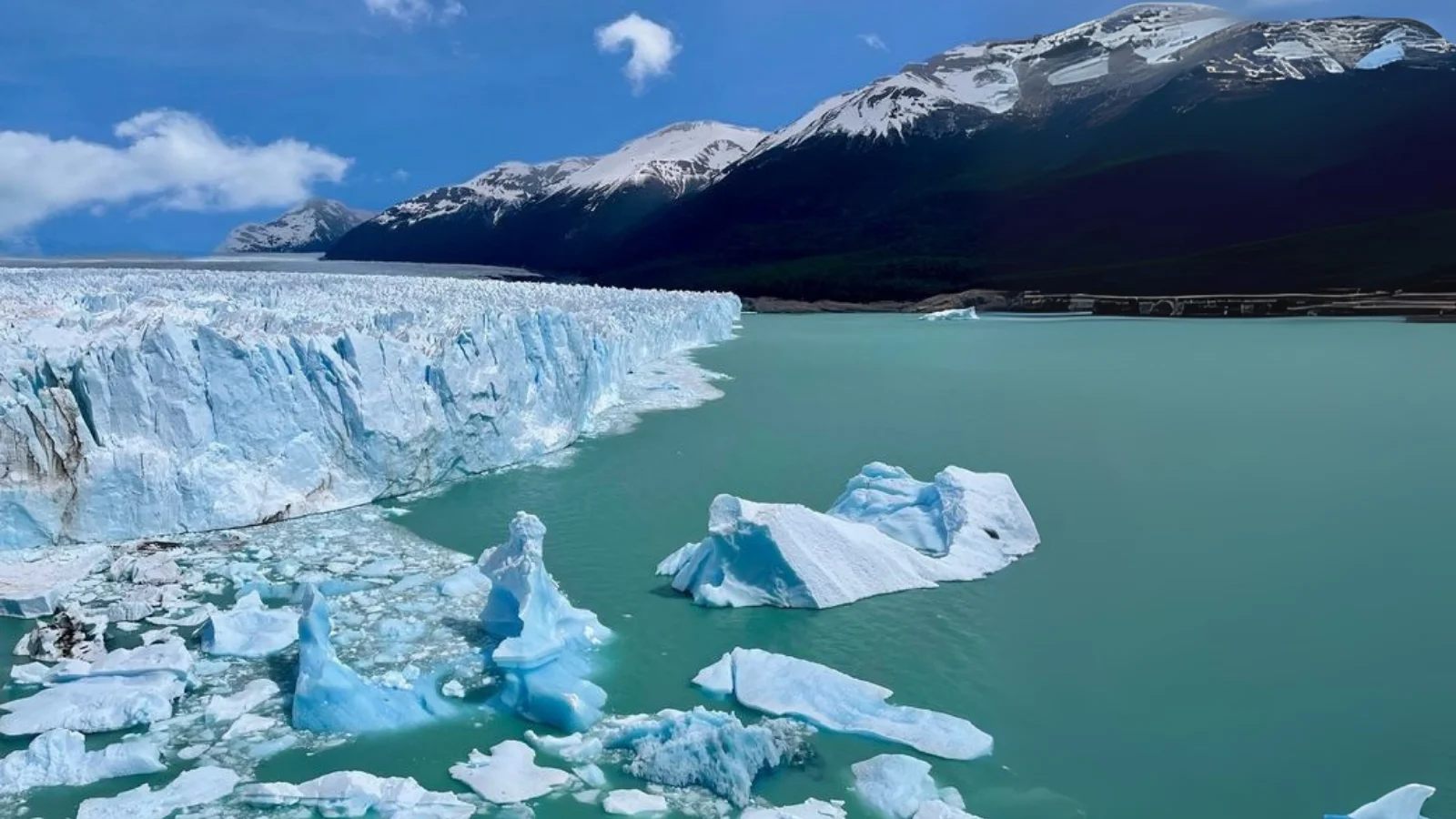 CALAFATE en Avión